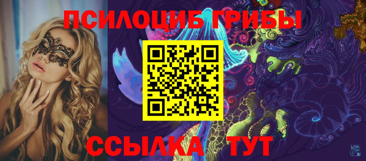даркнет сайт  Вход с VPN  Балашов  Псилоцибиновые грибы Magic Shrooms 