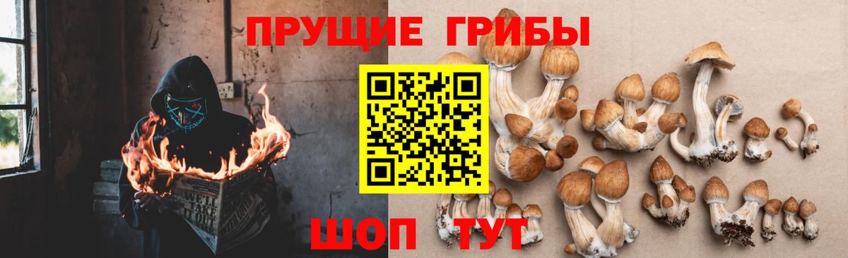 Псилоцибиновые грибы прущие грибы Балашов